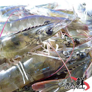 【台南洪氏鮮蝦】SGS無毒生凍白蝦1組(45-48隻*600g±10*組)