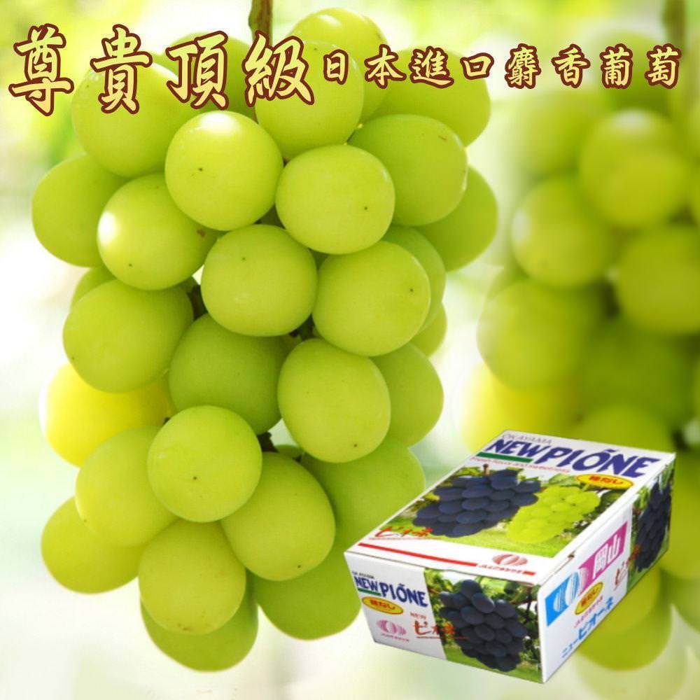 尊貴頂級日本進口麝香葡萄 (1箱) 單箱1房850克