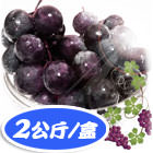 冬季限定《苗栗卓蘭》【巨峰葡萄】2公斤/盒