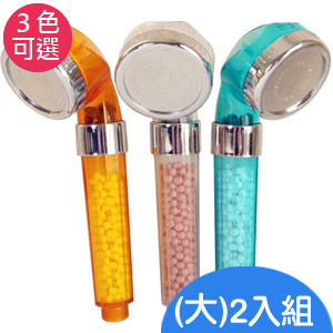 SPA極淨省水蓮蓬頭超值2入組(大)