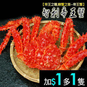 空運-40C急凍智利帝王蟹(一隻0.7~0.8kg)