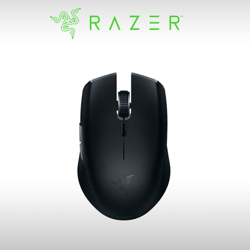 【RAZER 雷蛇】Razer 刺鱗樹蝰