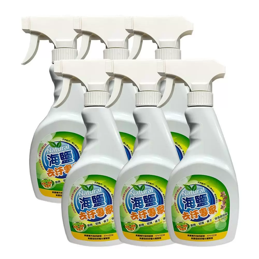 【環寶靈】海鹽去汙專家500ml(6瓶/組)