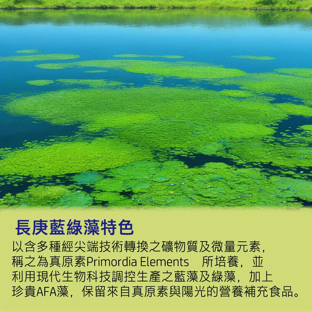 商品圖-1