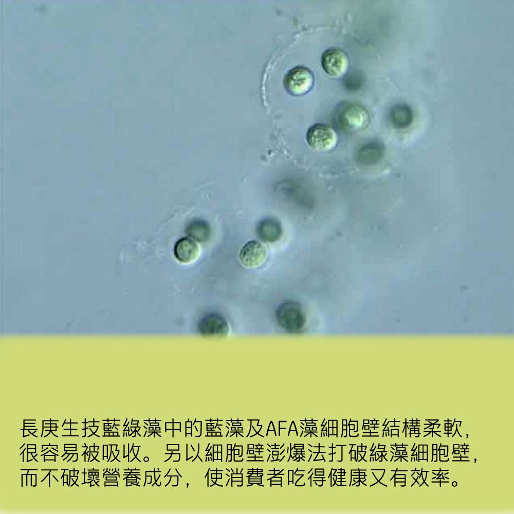 商品圖-2