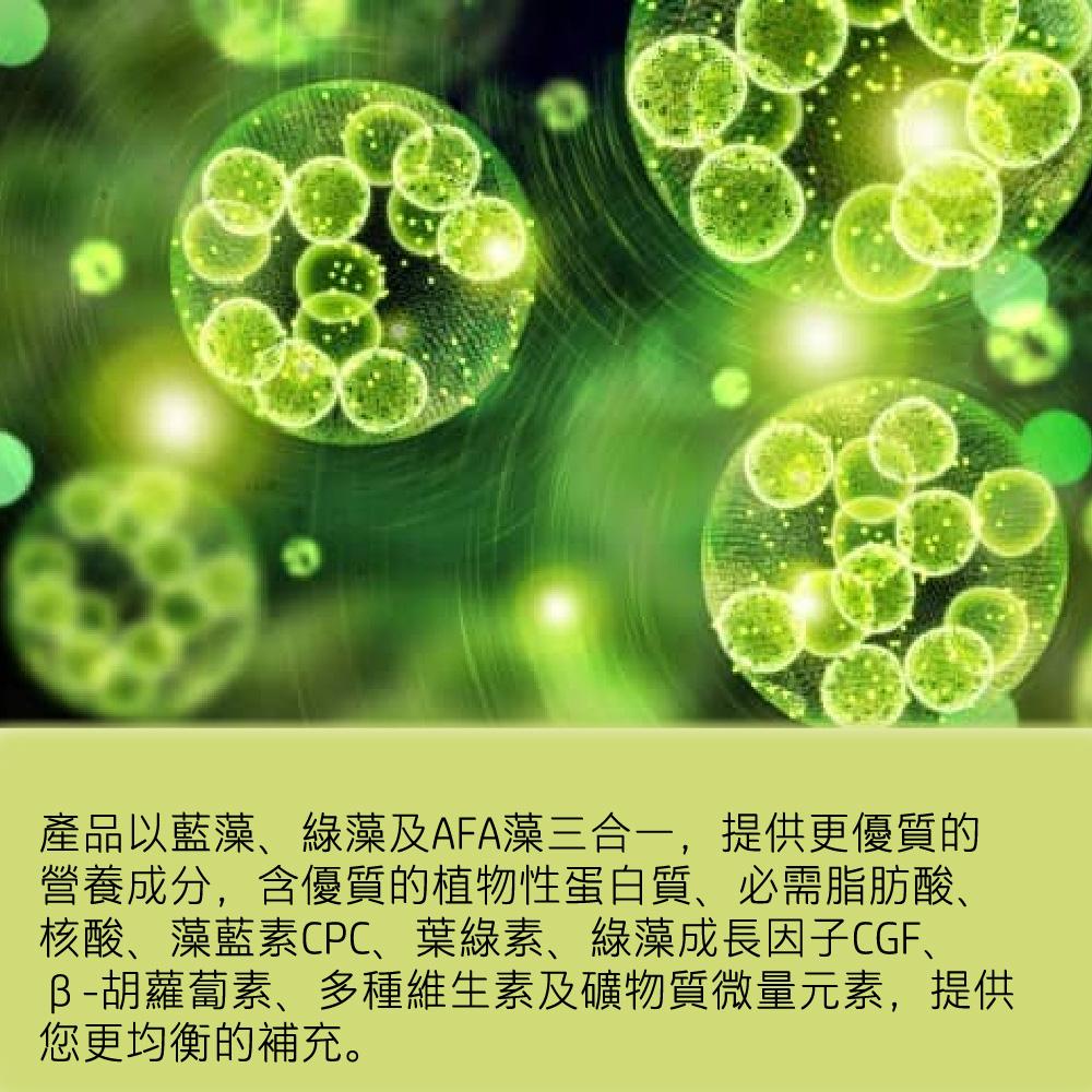 商品圖-3