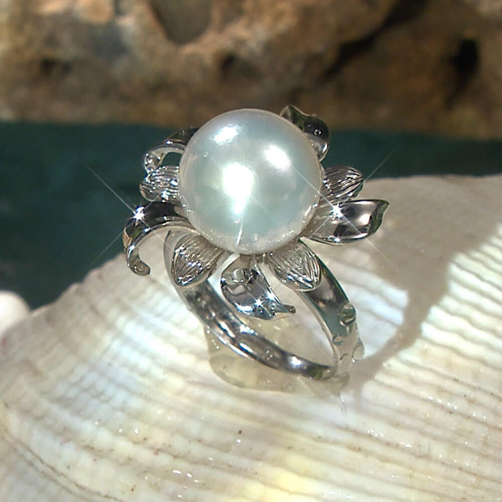 ShiningStar極光鳳凰珍珠專案