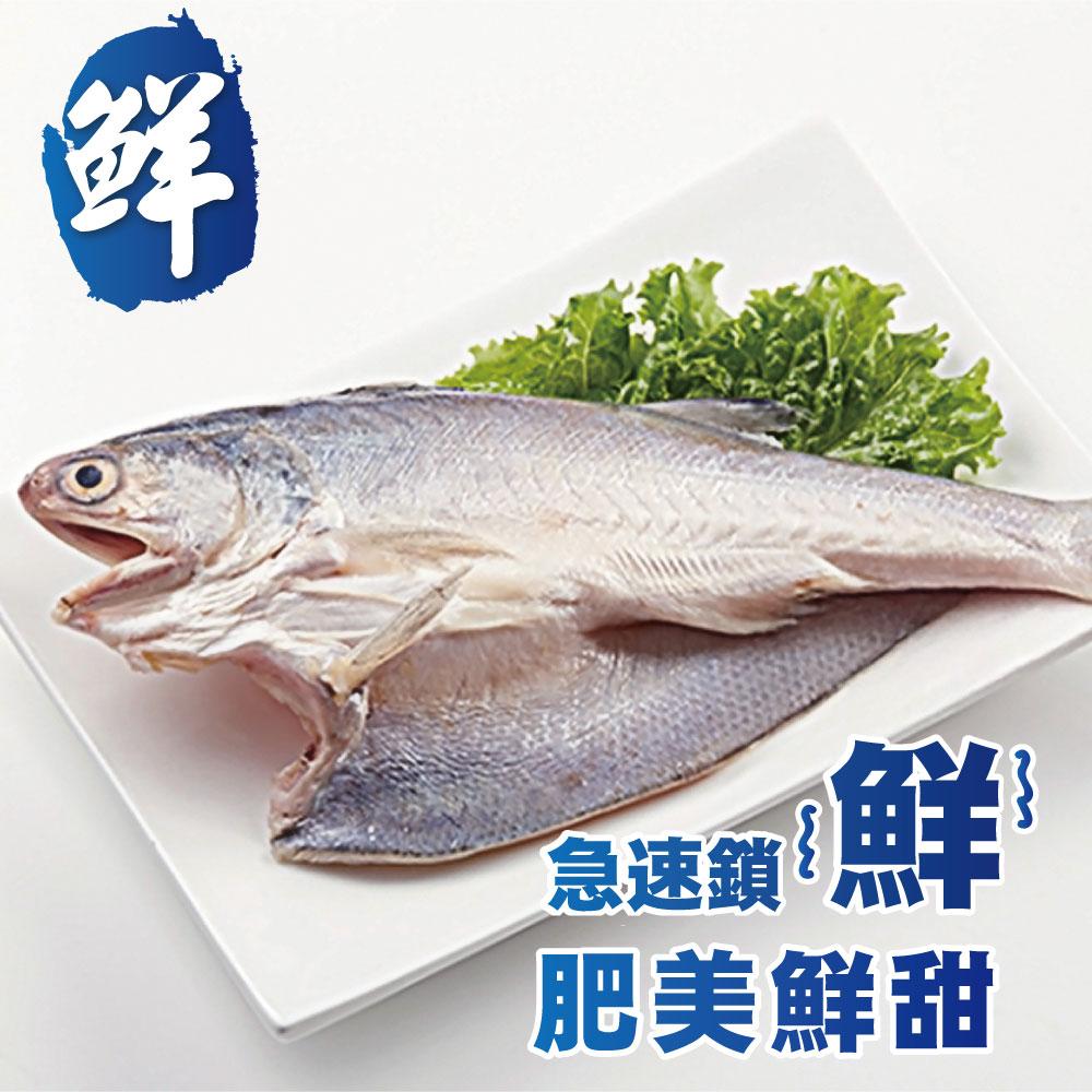 商品圖-1