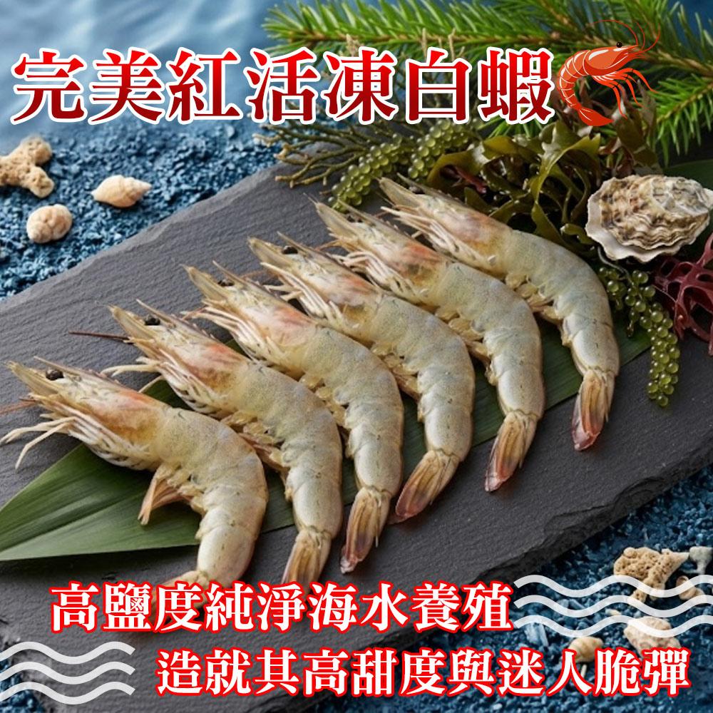 【勝崎生鮮】完美紅活凍生白蝦3盒組(600公克/1盒)