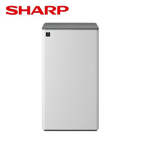【SHARP 夏普】乾淨方 雙氣流美型除濕機 (DW-T19HT-W)